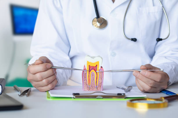 Best Emergency Root Canal Treatment in Huntland, TN